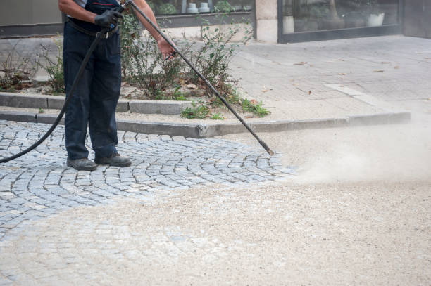 Best Fence Cleaning  in Thousand Palms, CA