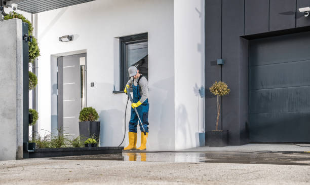 Best Driveway Pressure Washing  in Thousand Palms, CA